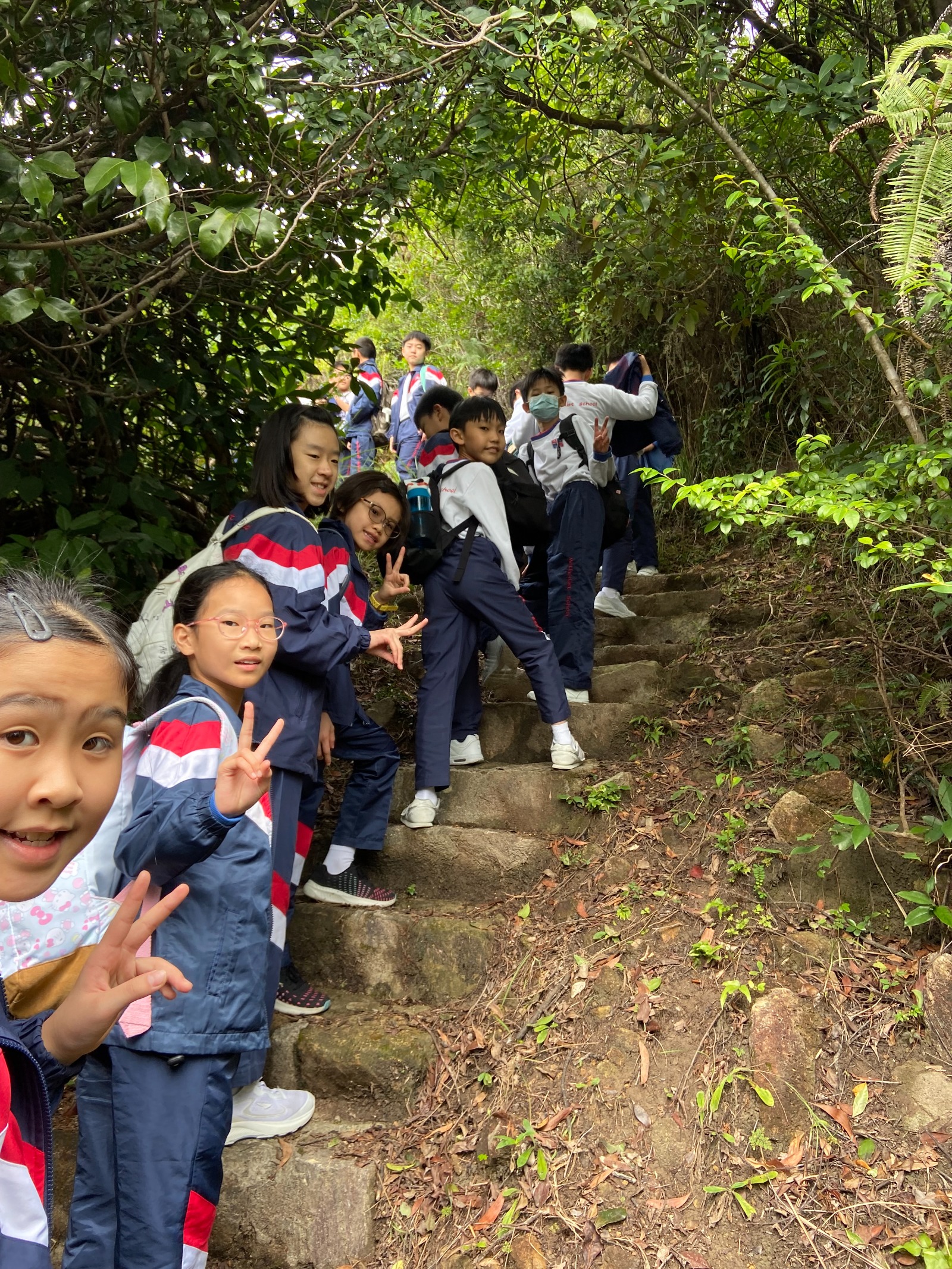 遠足活動 — 登山健行
